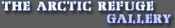 The Arctic Refuge Gallery