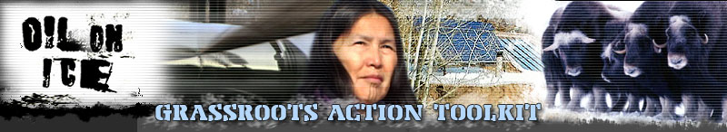 Oil on Ice - Grassroots Action Toolkit